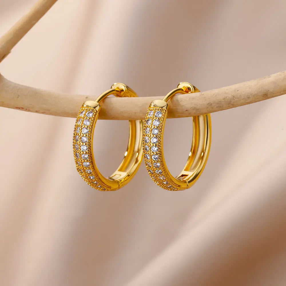 Stainless Steel Zircon Round Hoop Earrings