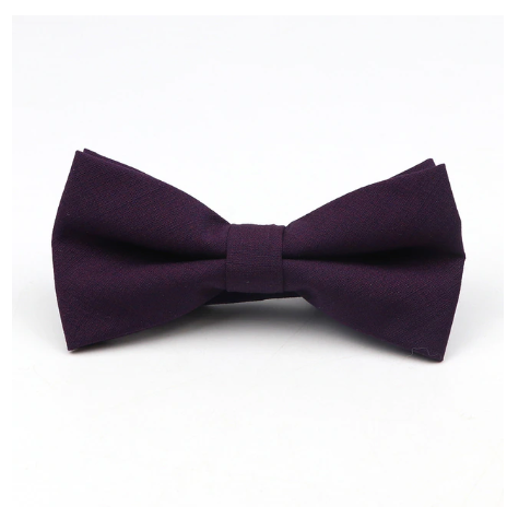 Soft Polyester Bow Tie